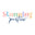 Stunning Parties logo